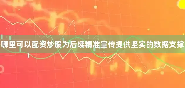 哪里可以配资炒股为后续精准宣传提供坚实的数据支撑